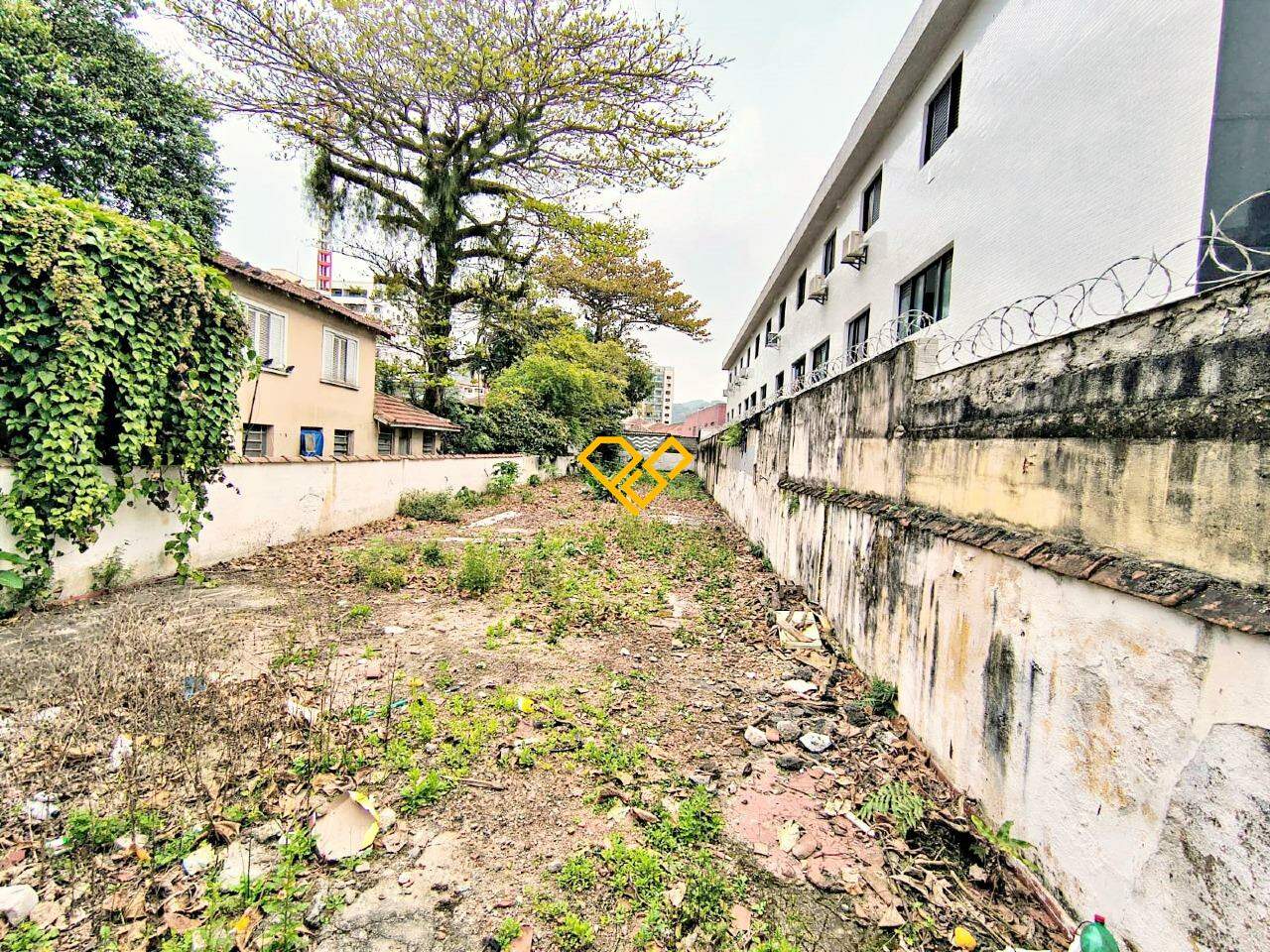 Terreno à venda no Campo Grande: 