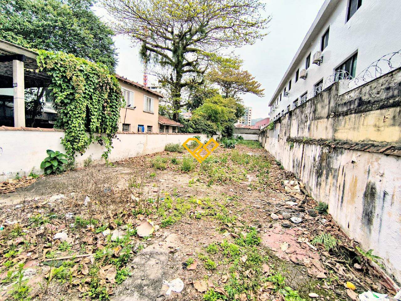 Terreno à venda no Campo Grande: 