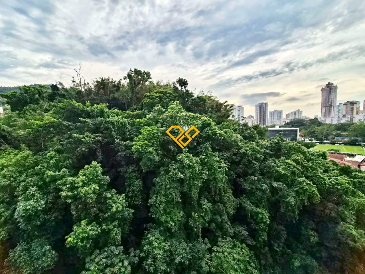 Apartamento à venda no José Menino: VIsta