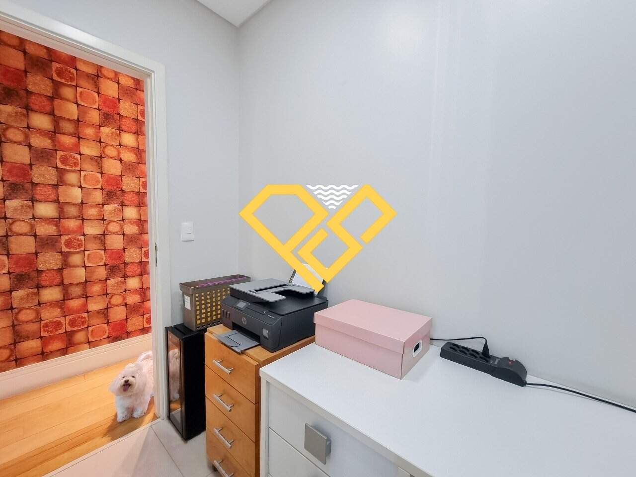 Apartamento para aluguel no Gonzaga: 