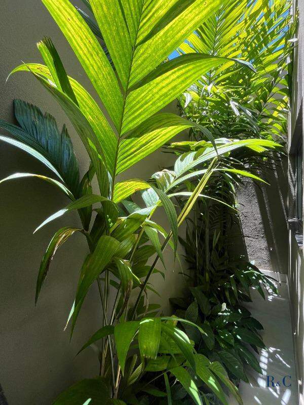 Casa à venda no Jardim Três Colinas: 