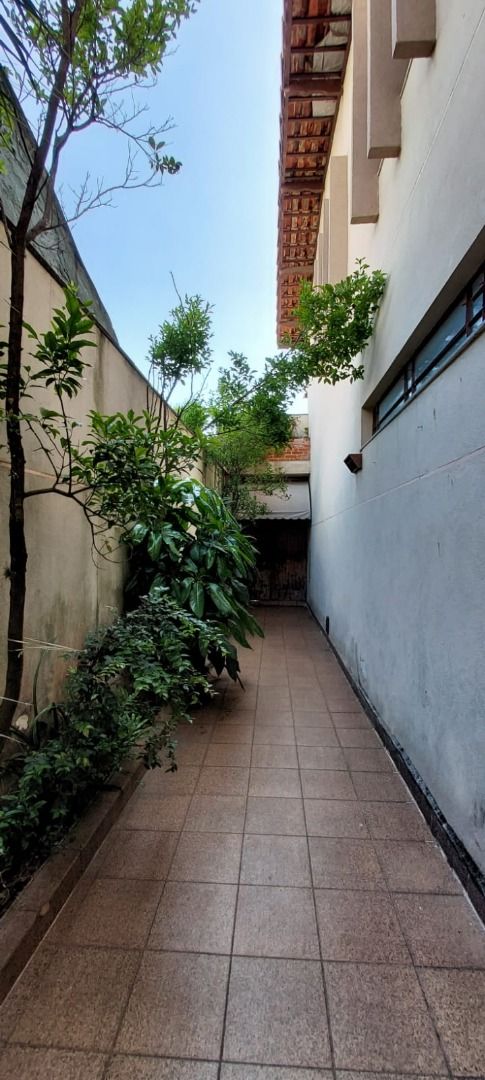  à vendaSanta TeresinhaSanto André: 