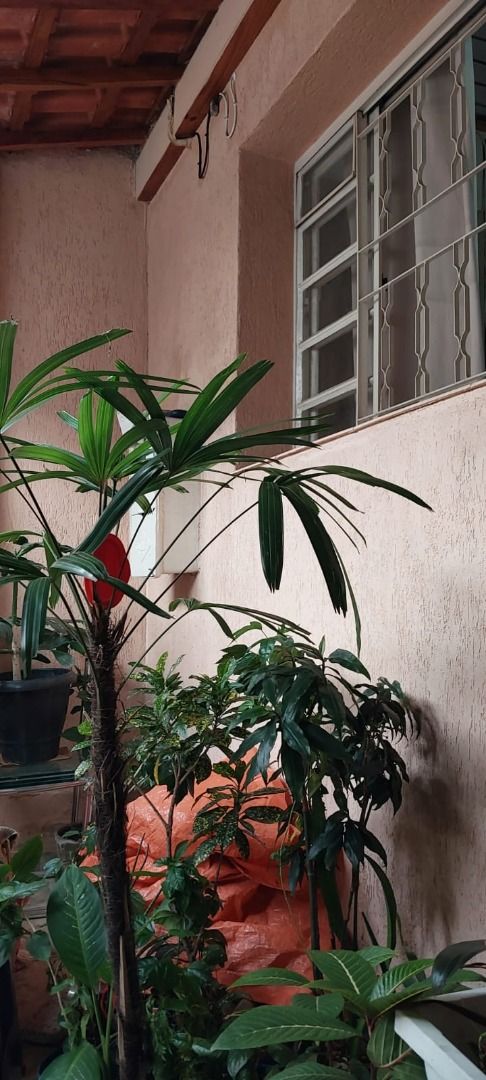  à vendaSanta TeresinhaSanto André: 