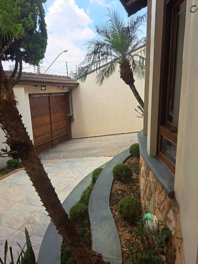  para aluguelCampestreSanto André: 