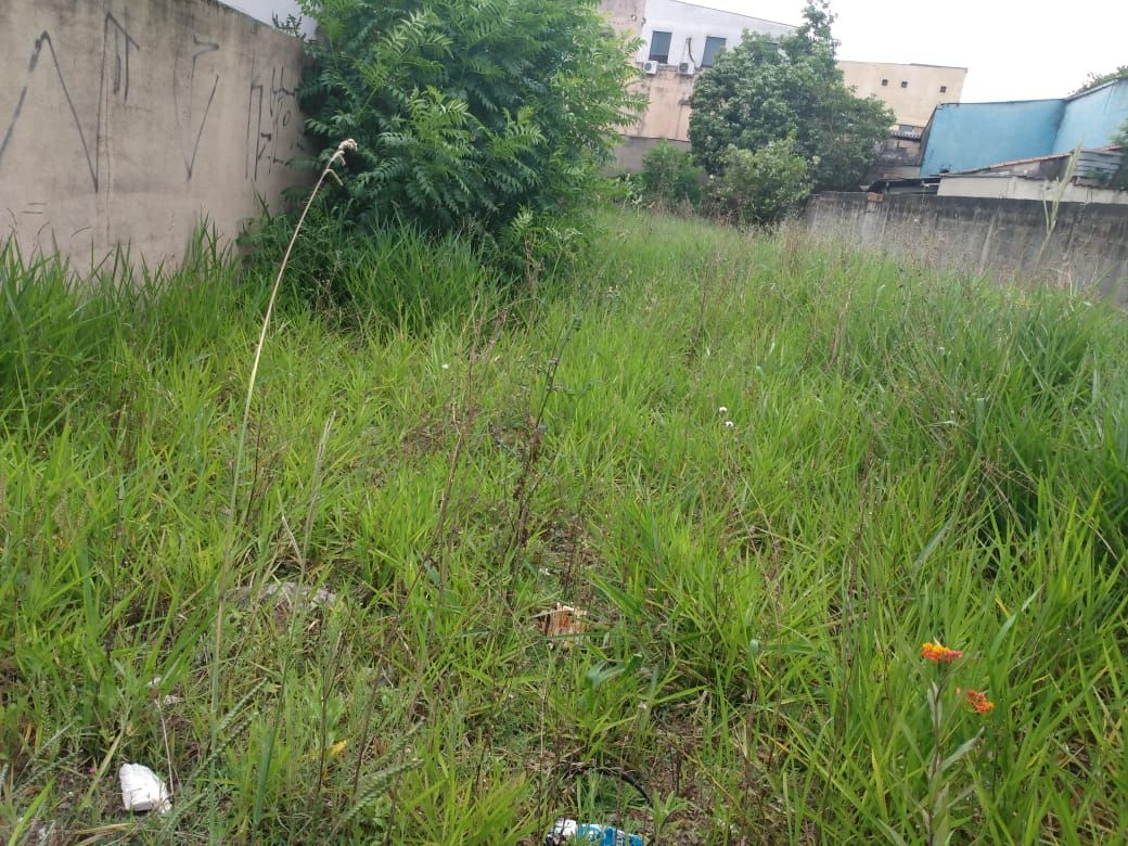  para aluguelJardim Santo AntônioSanto André: 