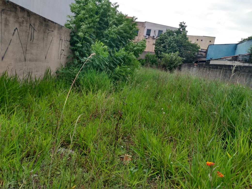  para aluguelJardim Santo AntônioSanto André: 