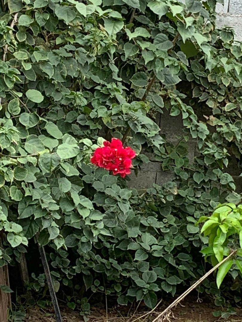  à vendaConjunto Residencial Santo ÂngeloMogi Das Cruzes: 