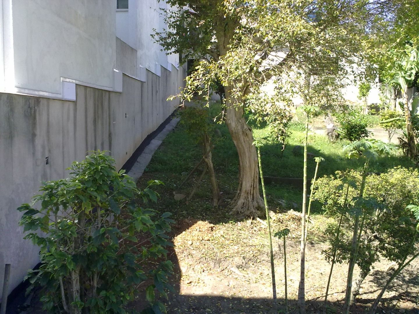  para aluguelSanta TeresinhaSanto André: 