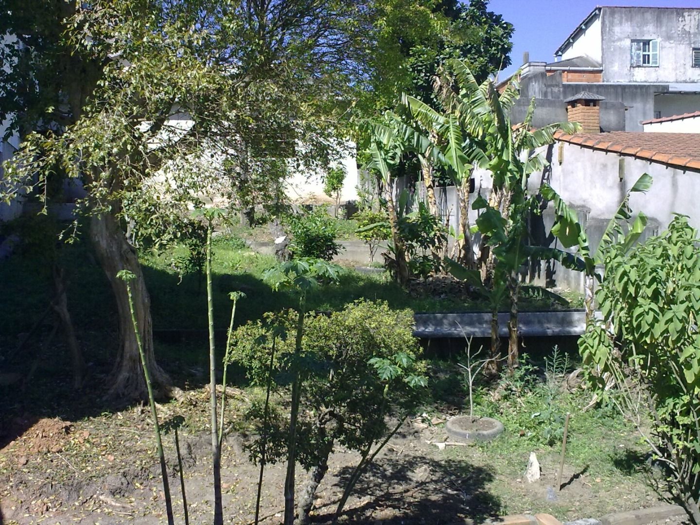  à vendaSanta TeresinhaSanto André: 