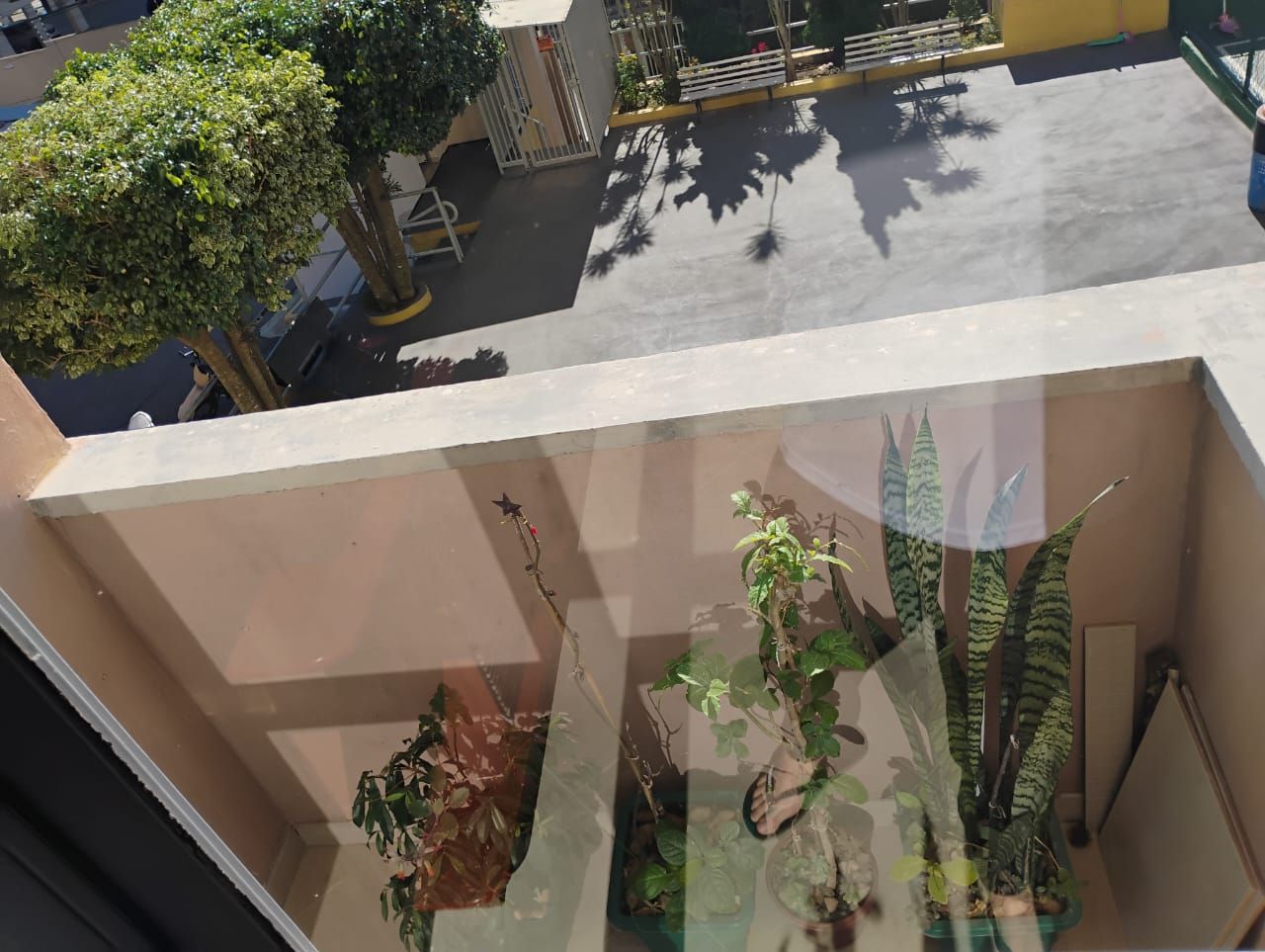  à vendaVila CarmosinaSão Paulo: 