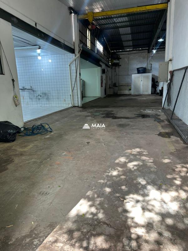 Galpão para aluguel no Lourdes: 