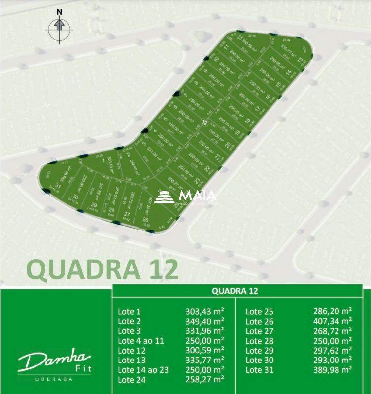 Terreno em Condomínio à venda no Damha Fit - Res. Uberaba: 