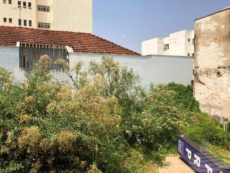 Comercial para aluguel no Centro: 