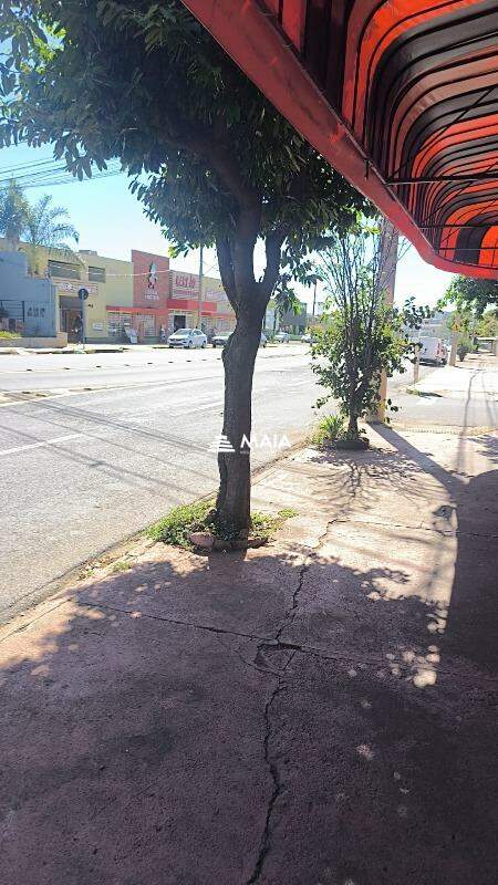 Comercial para aluguel no Beija Flor: 
