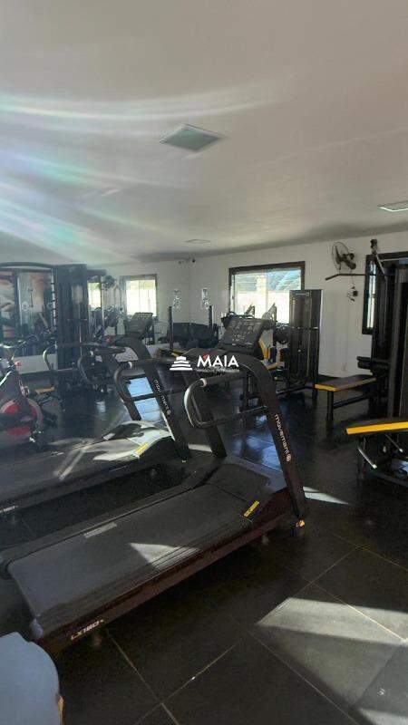 Apartamento para aluguel no Residencial Palmeiras: 