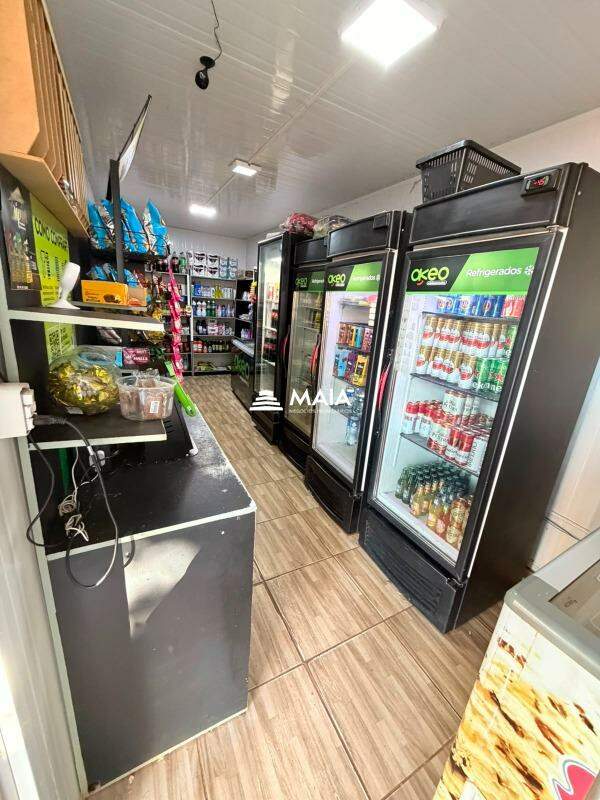 Apartamento para aluguel no Residencial Palmeiras: 