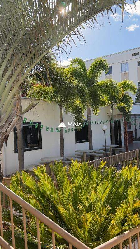 Apartamento para aluguel no Residencial Palmeiras: 
