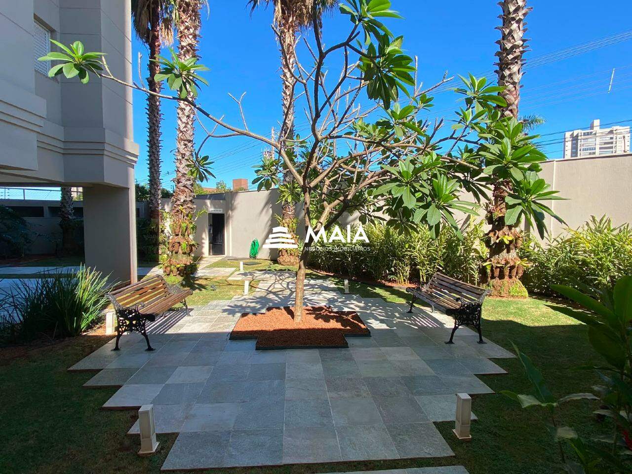 Apartamento para aluguel no Santa Marta: 