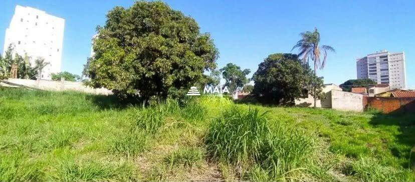 Terreno/Área à venda no Mercês: 