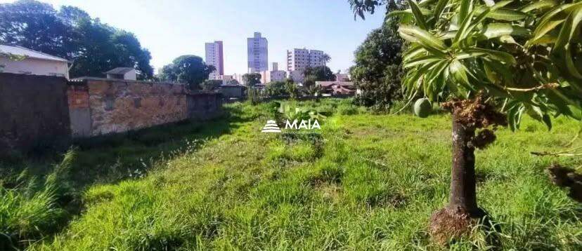 Terreno/Área à venda no Mercês: 