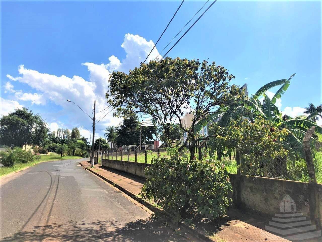 Terreno/Área para aluguel no Santa Maria: 