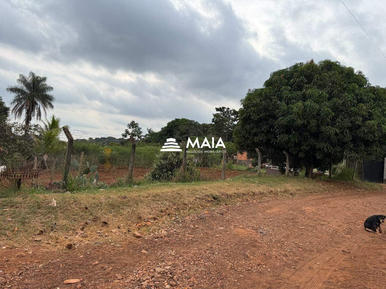 Rancho/ Chácara/ Rural à venda no Morada do Verde: 