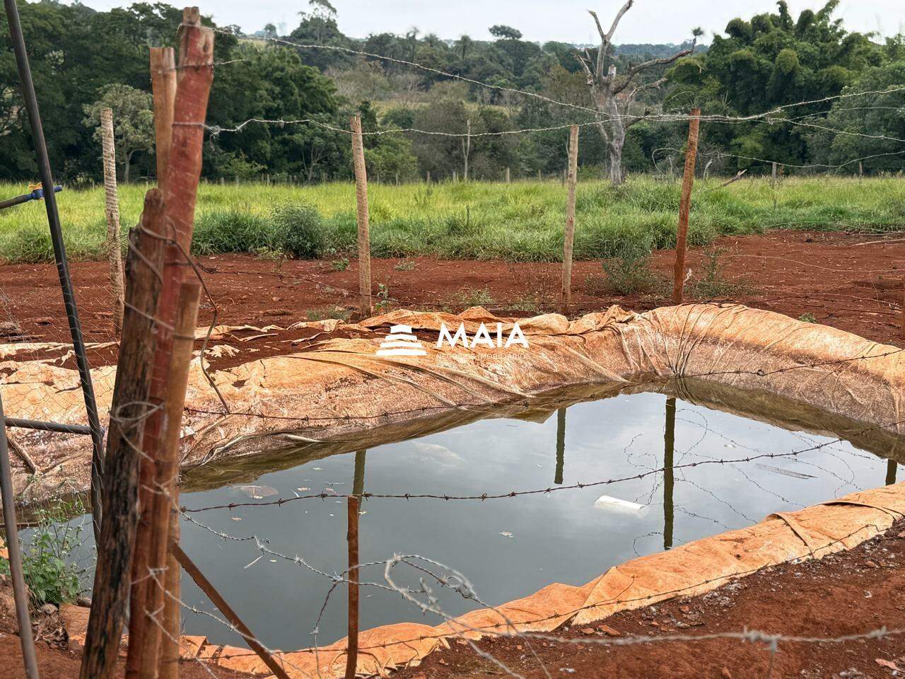 Mais