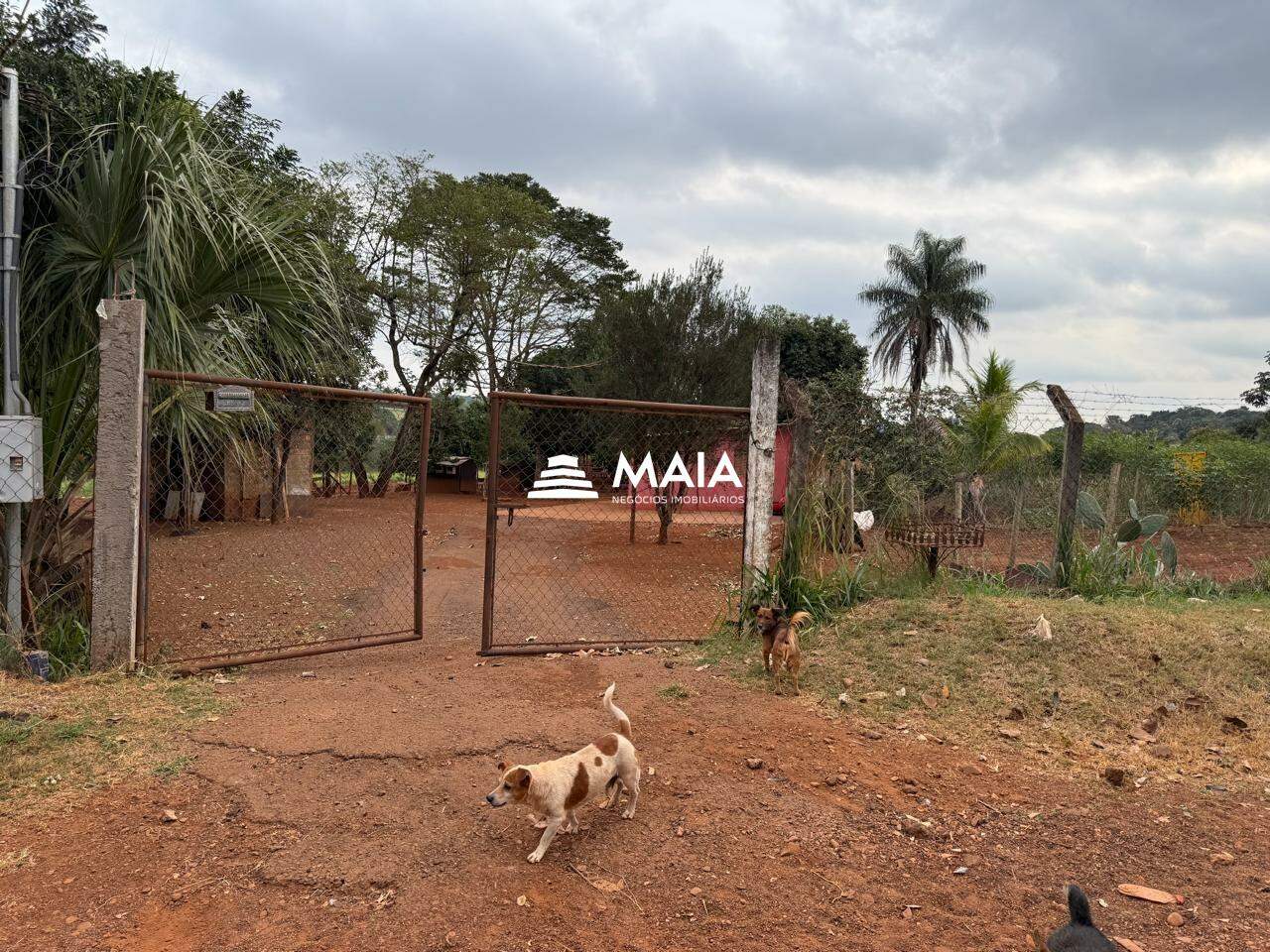 Rancho/ Chácara/ Rural à venda no Morada do Verde: 