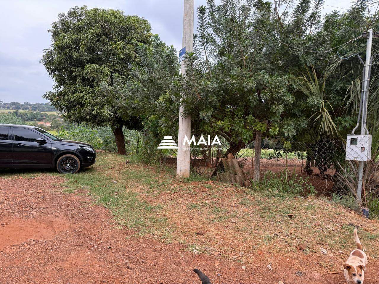 Rancho/ Chácara/ Rural à venda no Morada do Verde: 