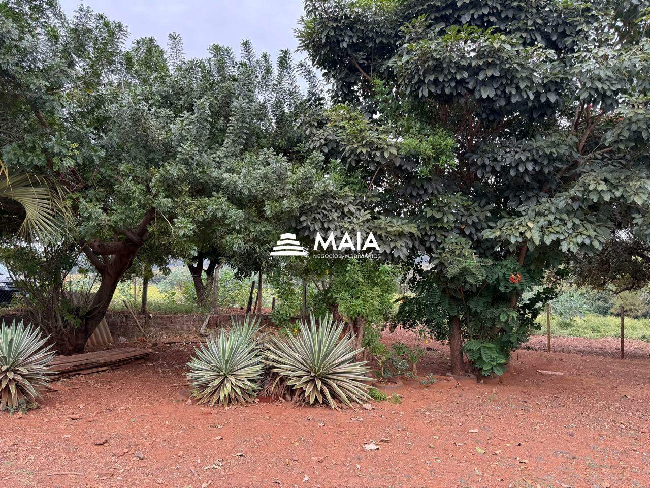 Rancho/ Chácara/ Rural à venda no Morada do Verde: 