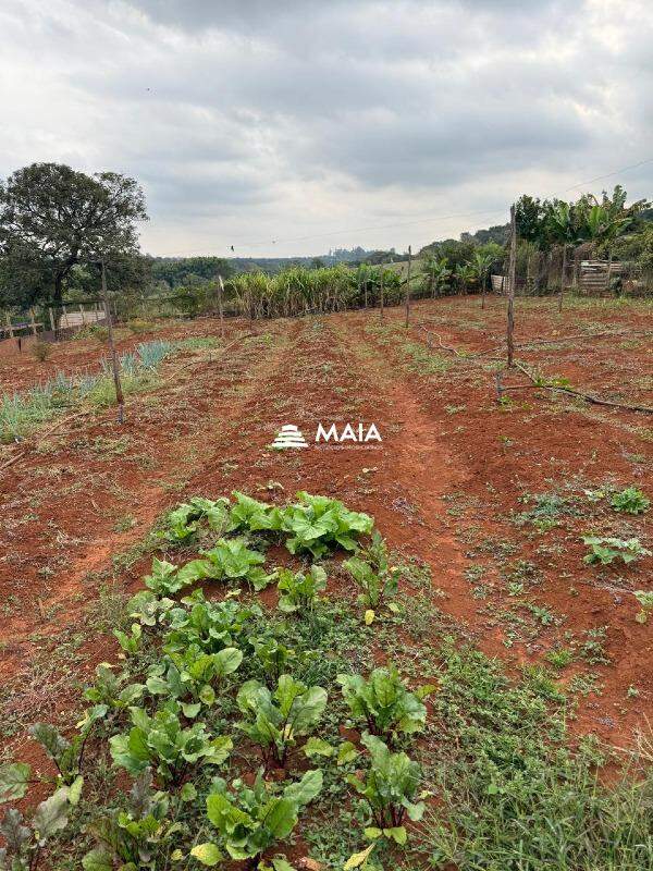 Rancho/ Chácara/ Rural à venda no Morada do Verde: 