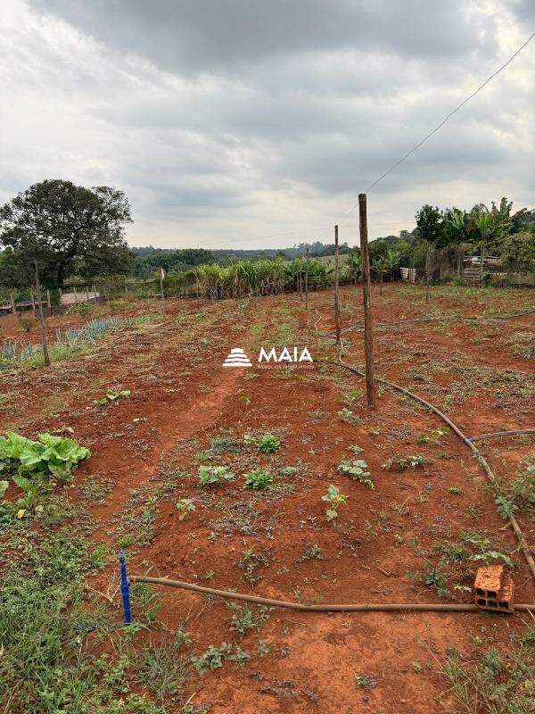 Rancho/ Chácara/ Rural à venda no Morada do Verde: 