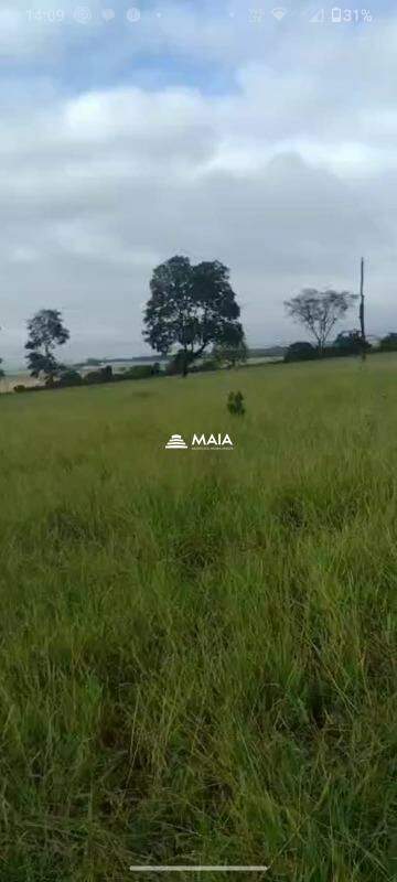 Rancho/ Chácara/ Rural à venda no BR-262: 