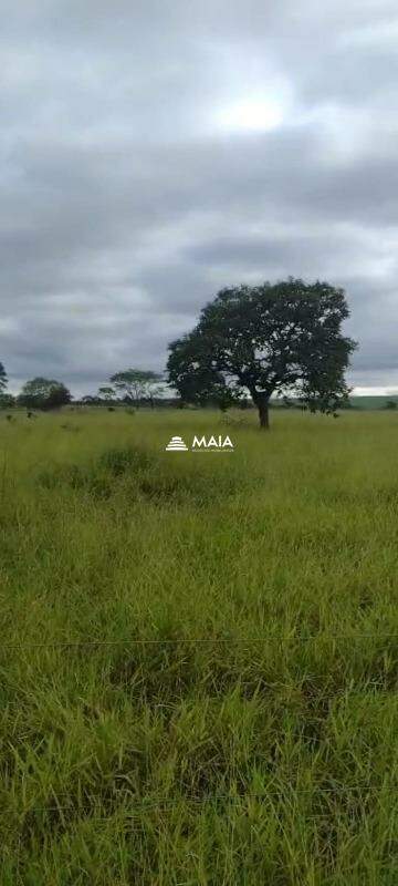 Rancho/ Chácara/ Rural à venda no BR-262: 