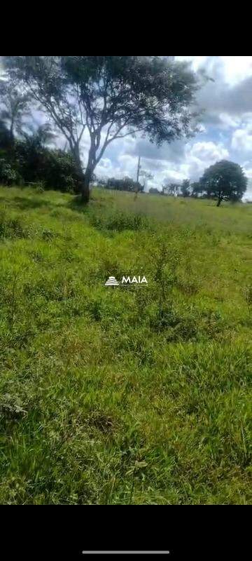 Mais
