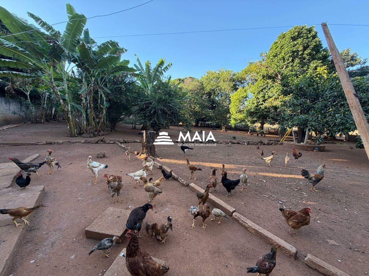 Casa à venda no Recreio dos Bandeirantes: 