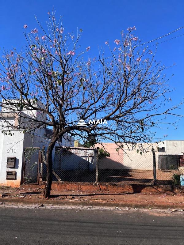 Terreno à venda no bairro Gameleira