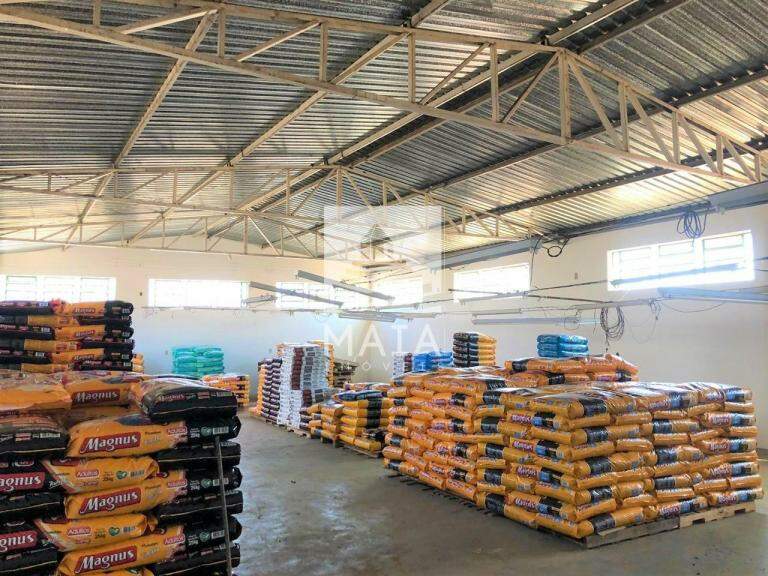 Galpão à venda no Manoel Mendes: 