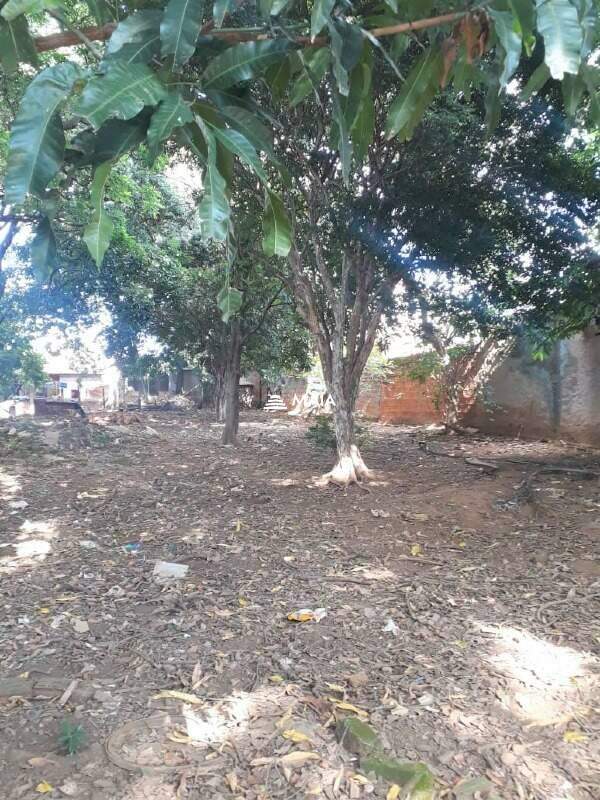 Terreno/Área à venda no São Benedito: 