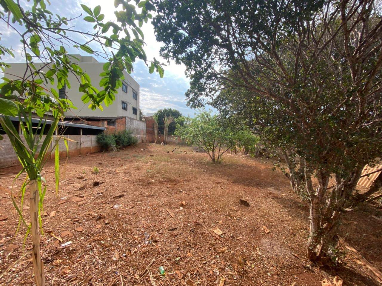 Terreno/Área à venda no Santa Maria: 