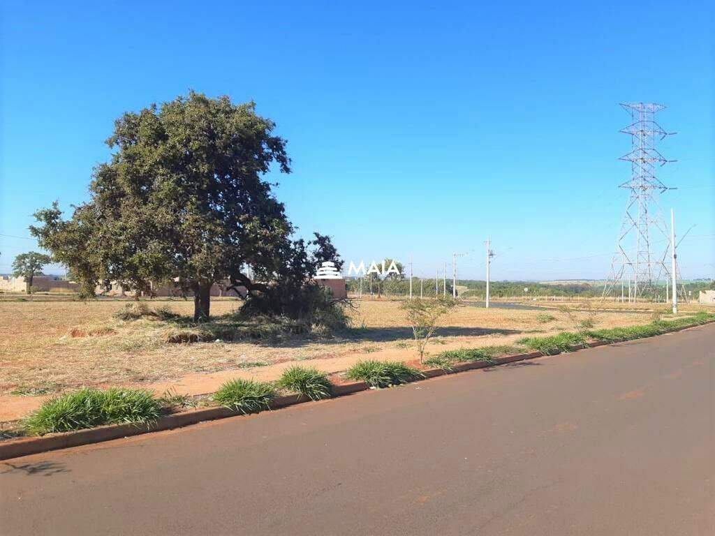 Terreno/Área à venda no Parque das Laranjeiras: 