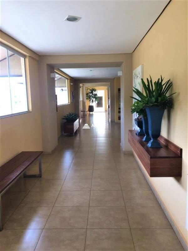 Apartamento para aluguel no Nossa Senhora da Abadia: 