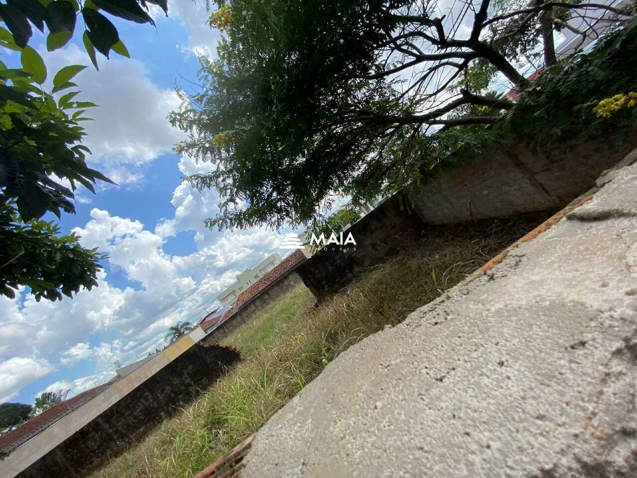 Terreno/Área para aluguel no Santa Maria: 