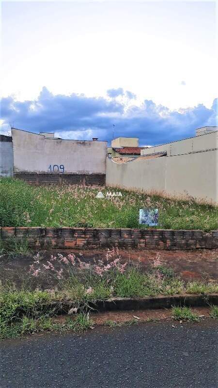 Terreno/Área à venda no Jardim Nenê Gomes: 