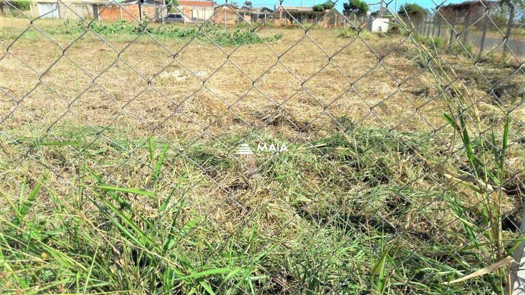 Terreno/Área à venda no Parque dos Girassóis: 