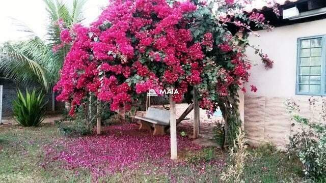 Rancho/ Chácara/ Rural à venda no Gleba Santa Mônica: 