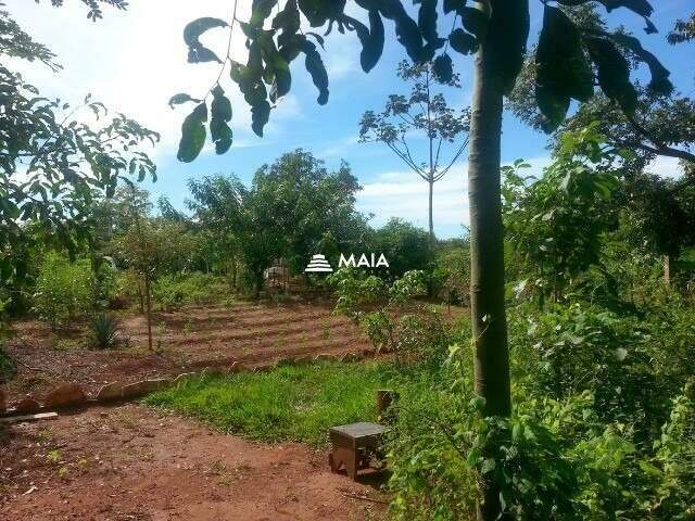 Rancho/ Chácara/ Rural à venda no Gleba Santa Mônica: 