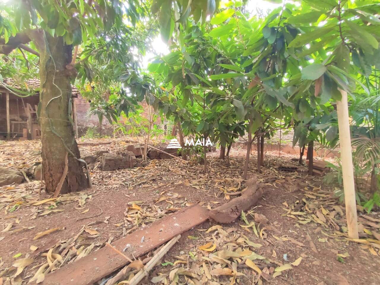 Casa à venda no São Benedito: 