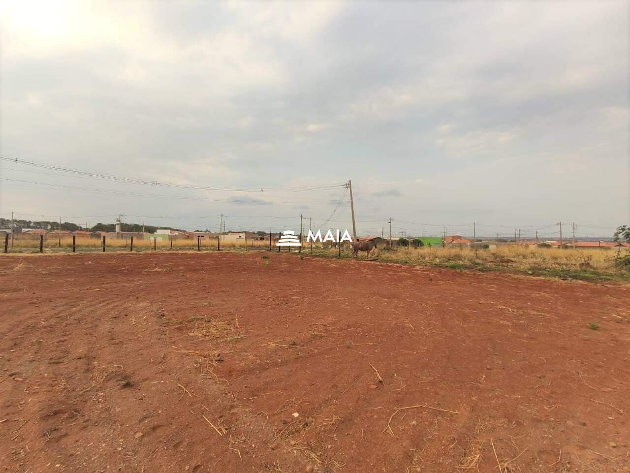 Terreno/Área à venda no Jardim Santa Clara: 