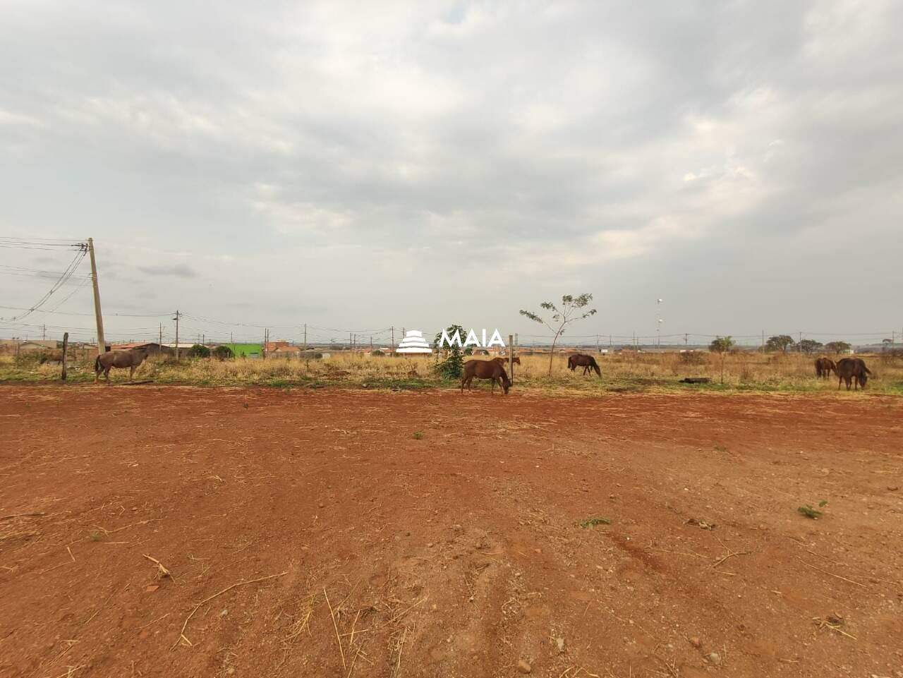 Terreno/Área à venda no Jardim Santa Clara: 